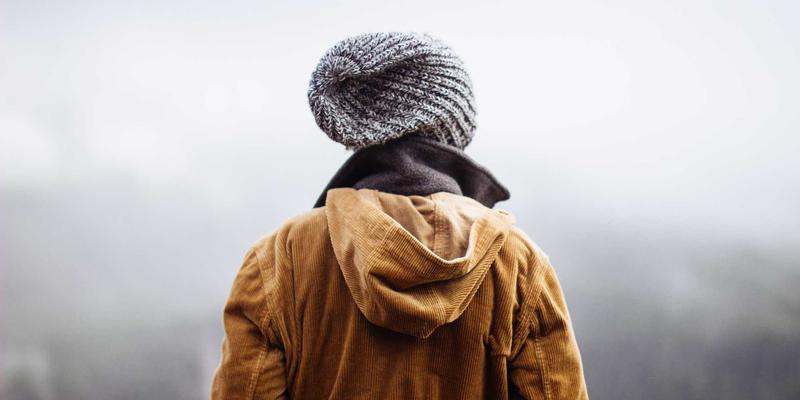 FLZSW：网络技术资源分享的新范式与核心价值解析