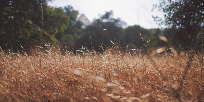 FLZSW视角下的编程开发实践：网络虚拟化技术在云计算环境中的深度应用
