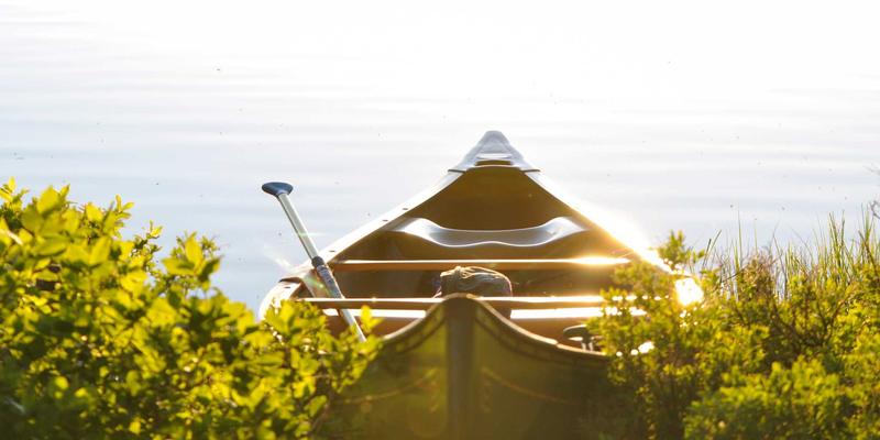 IPv6规模化部署：挑战、迁移策略与安全考量 | 网络技术资源分享