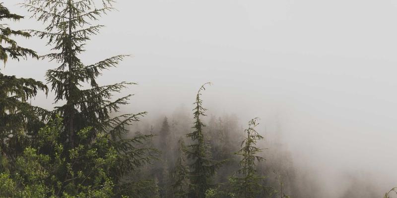 NetDevOps实战指南：从CI/CD流水线构建到故障自愈的自动化运维革命