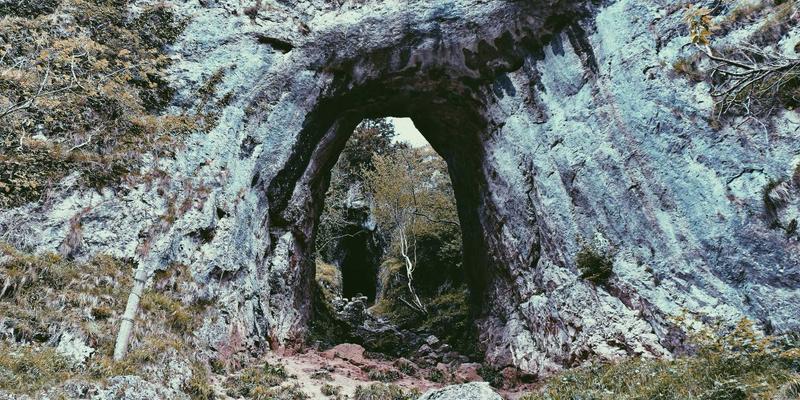 复古科技回潮：从FLZSW看网络技术的传承与新生