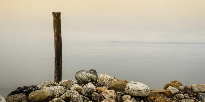 复古科技复兴：边缘计算与物联网协同网络中的资源分享与编程开发新范式