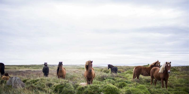 复古科技视角下的零信任微隔离：实现、部署与开源资源分享