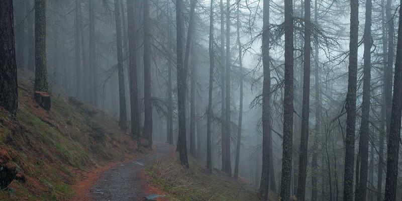 当复古科技遇见未来工厂：TSN在工业自动化中的编程开发革命