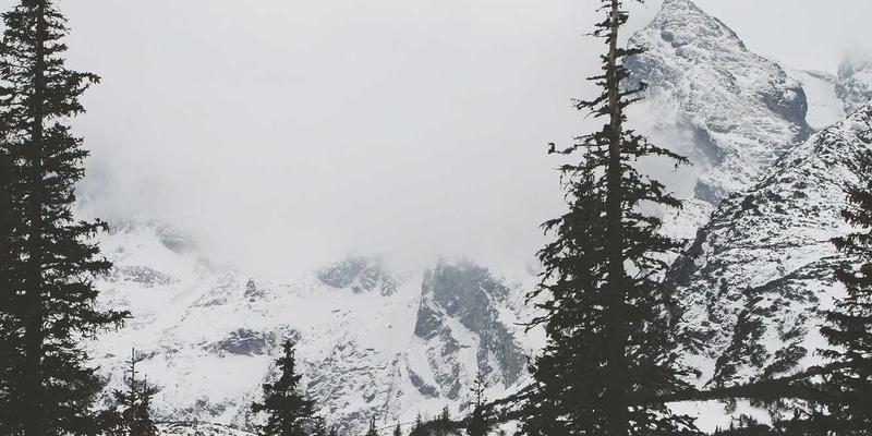 构建基于AI的网络流量异常检测与自愈安全运维体系：FLZSW资源分享与关键技术解析