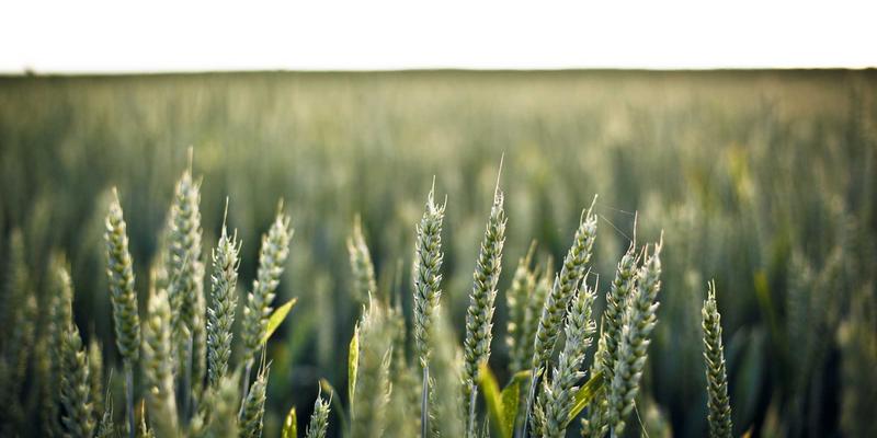 深入浅出：基于eBPF的云原生网络可观测性实战，实现细粒度流量监控与高效故障排查