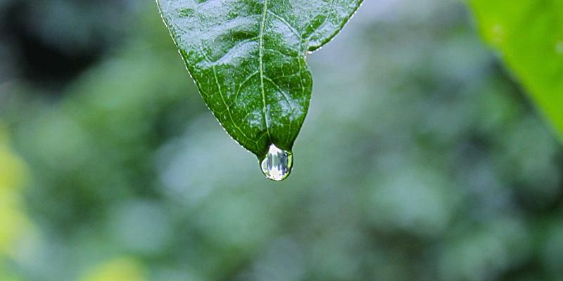 编程开发与网络技术融合:FLZSW框架如何重塑现代应用架构