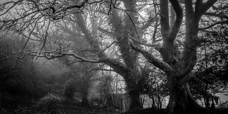 编程开发视角：物联网大规模接入中LPWAN与蜂窝网络的复古科技选型策略