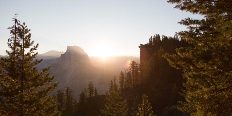 网络技术61:在复古科技浪潮中,如何通过资源分享赋能现代编程开发?
