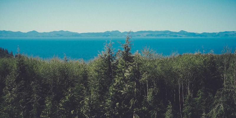 网络技术73：当复古科技与编程开发在网络时代重逢