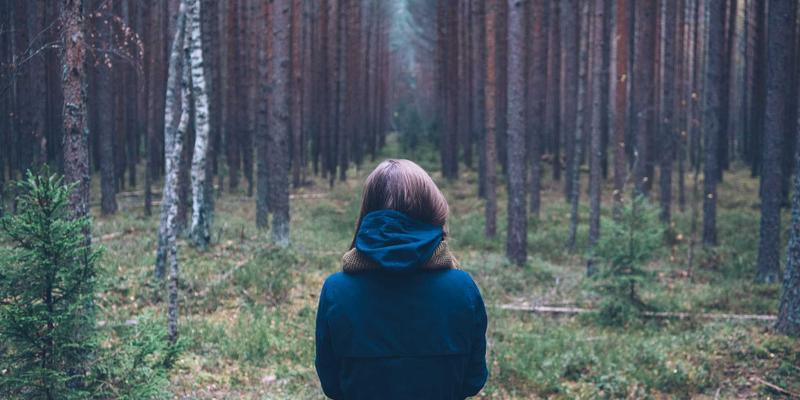 网络技术86：编程开发者的FLZSW资源分享与进阶指南