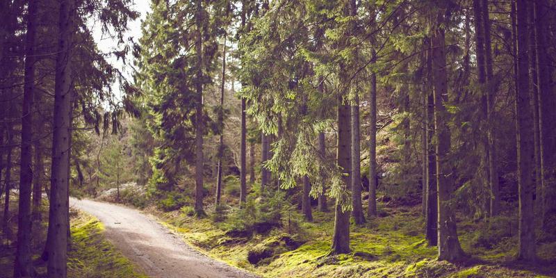 网络技术新范式：零信任网络访问（ZTNA）与SASE架构如何重塑安全边界