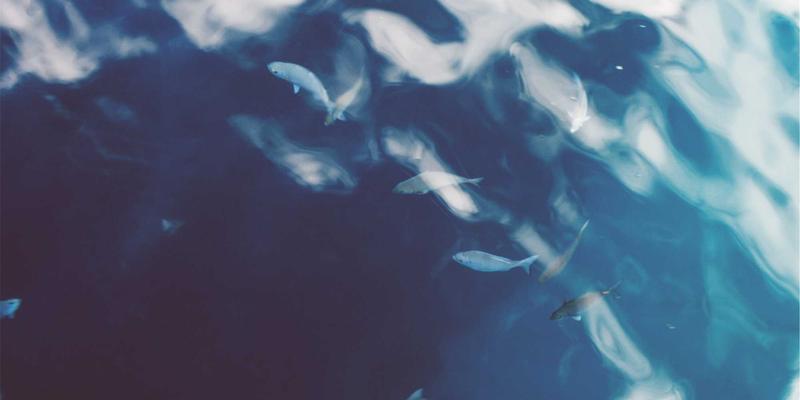 网络技术演进：深度解析数据中心从三层架构到叶脊（Spine-Leaf）的变革